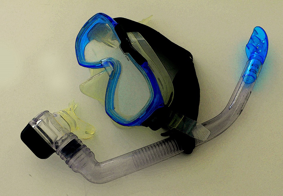 Still_Life_with_Diving_Mask